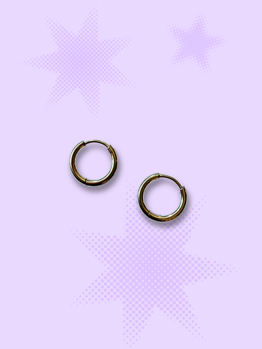 Stainless Steel Huggie Hoop Earrings