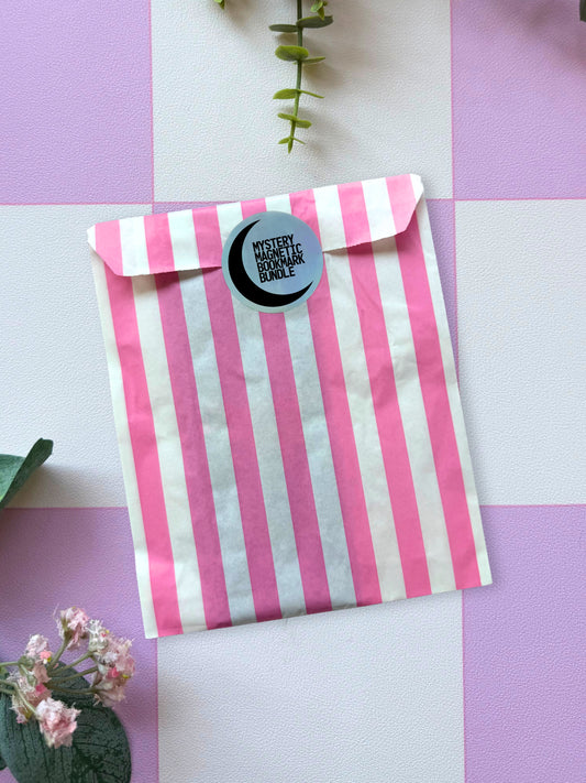 Mystery Magnetic Bookmark Bundle
