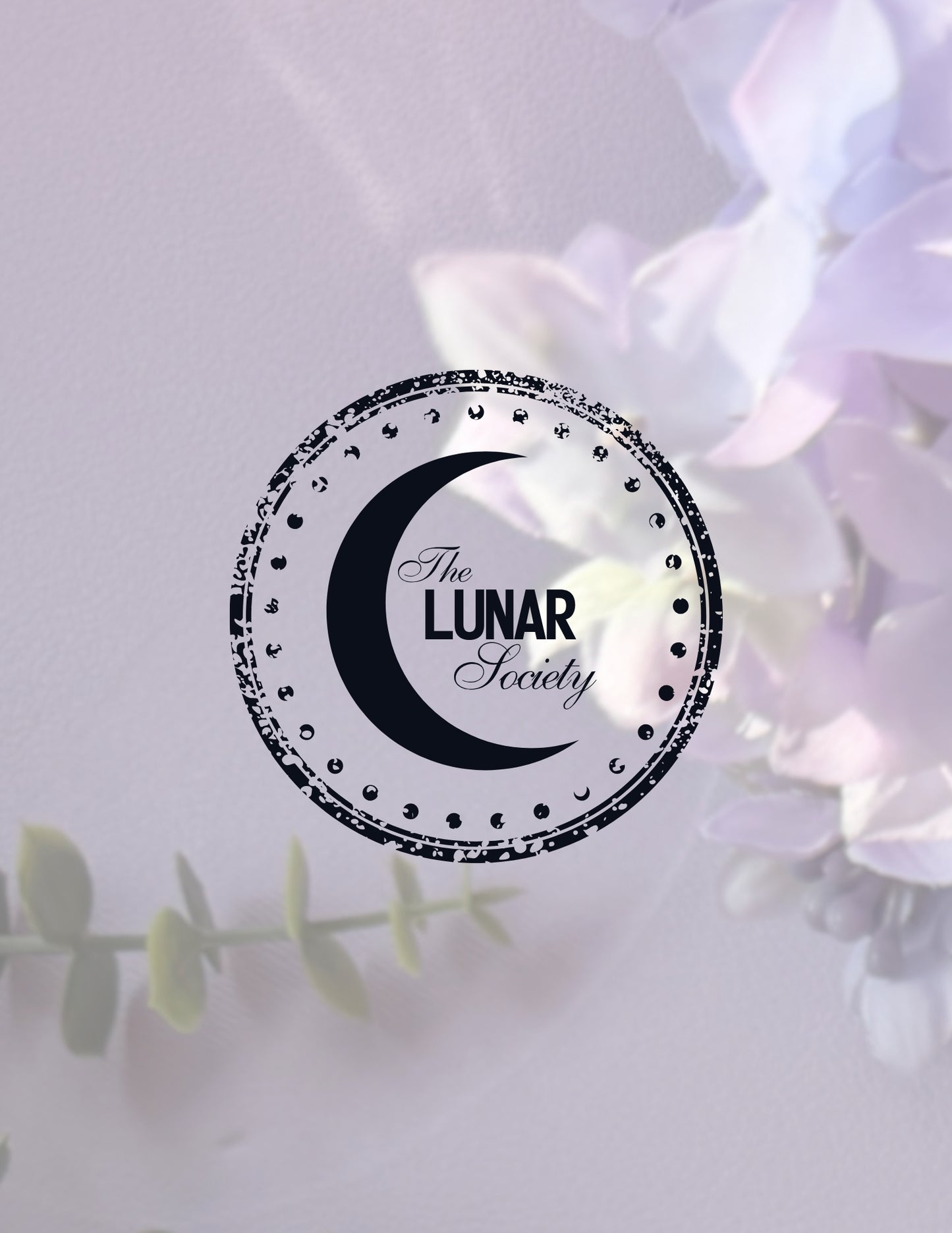 The Lunar Society Mail Club 💌